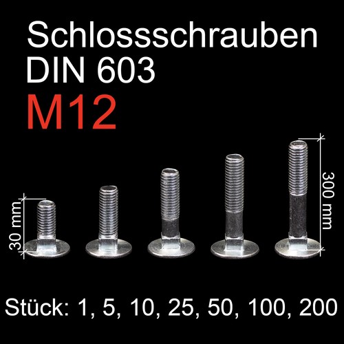 Schloßschrauben m12 - schloßschrauben,